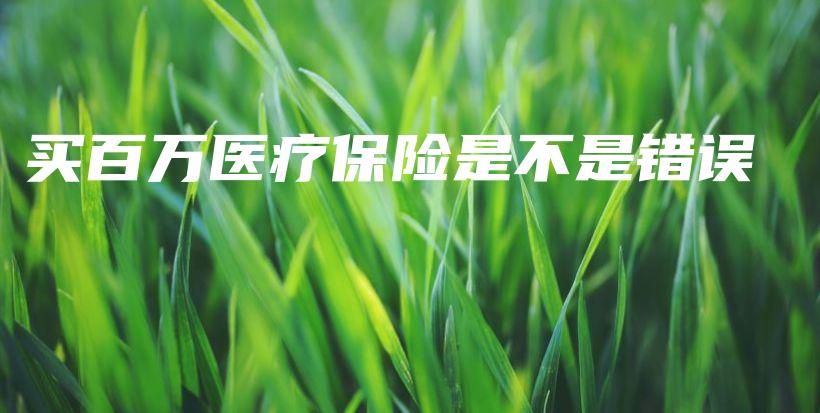 买百万医疗保险是不是错误-保点通