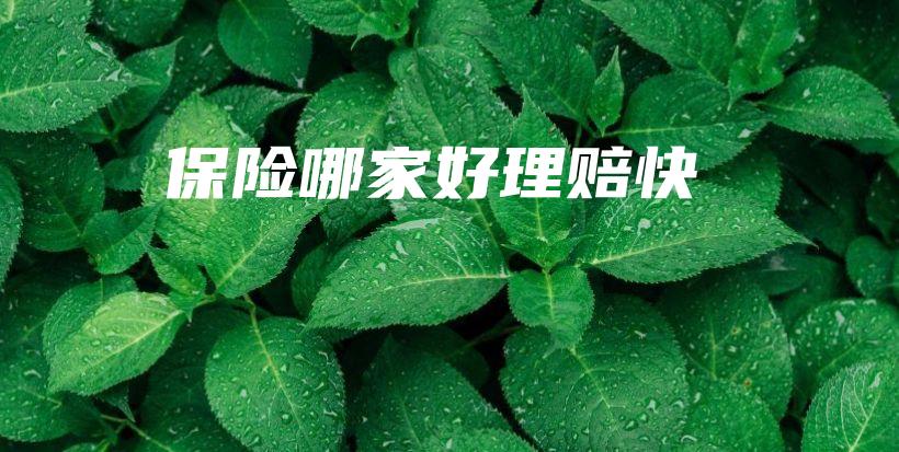 保险哪家好理赔快-保点通