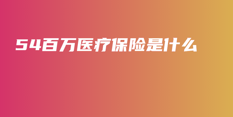 54百万医疗保险是什么-保点通