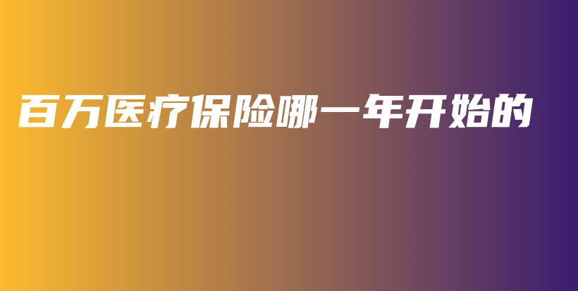 百万医疗保险哪一年开始的-保点通