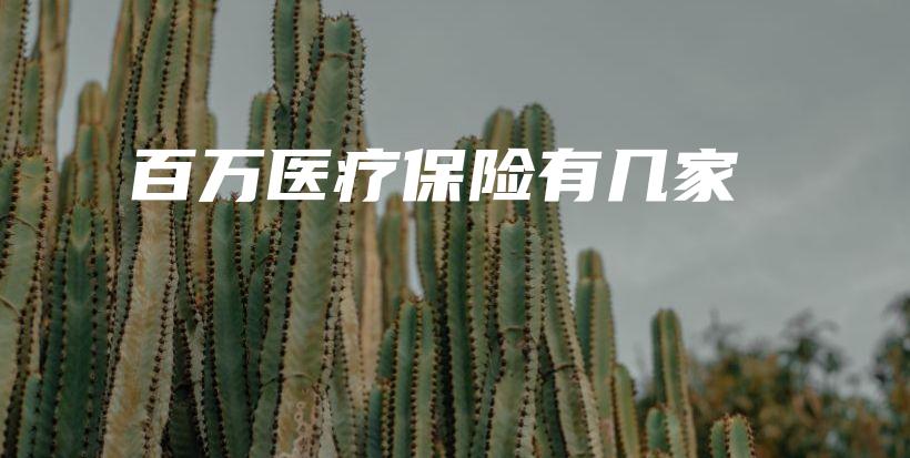 百万医疗保险有几家-保点通