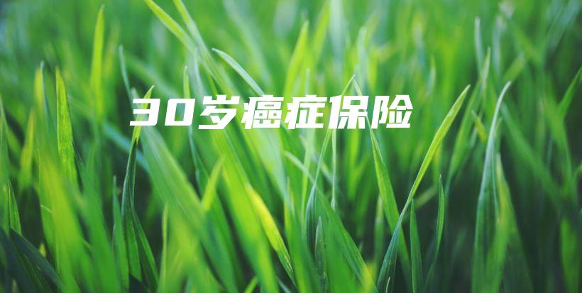 30岁癌症保险-保点通