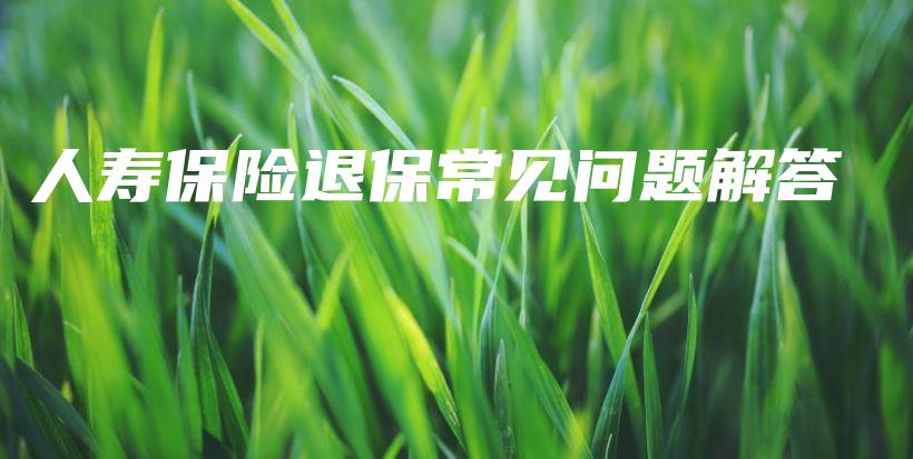 人寿保险退保常见问题解答-保点通