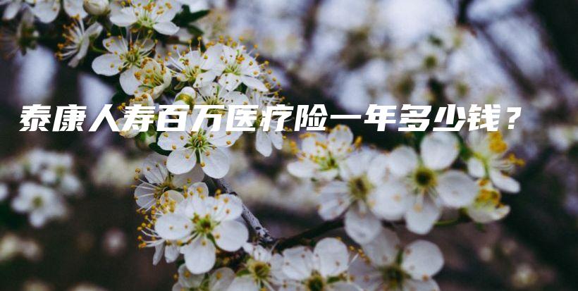 泰康人寿百万医疗险一年多少钱？-保点通