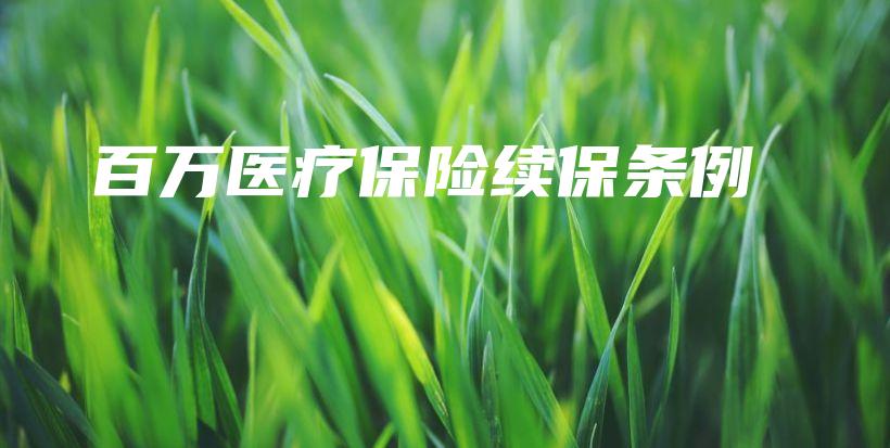 百万医疗保险续保条例-保点通