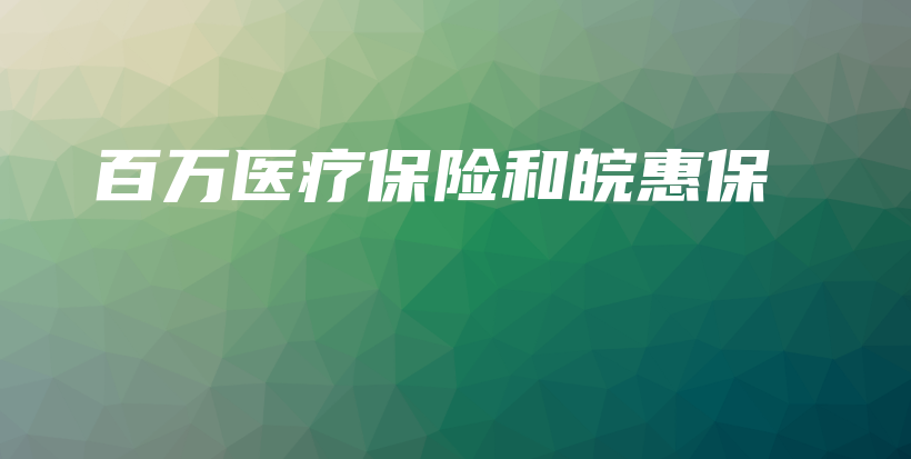 百万医疗保险和皖惠保-保点通