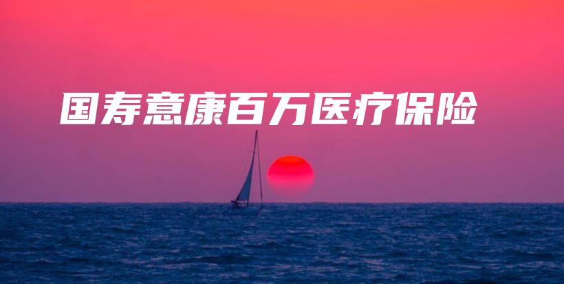 国寿意康百万医疗保险-保点通