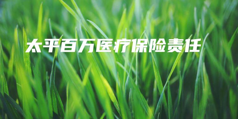 太平百万医疗保险责任-保点通