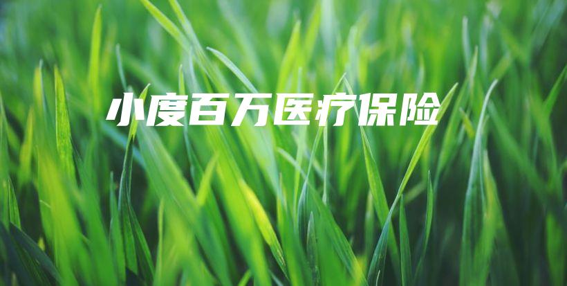 小度百万医疗保险-保点通