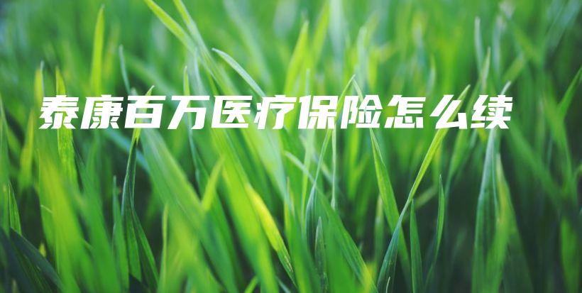 泰康百万医疗保险怎么续-保点通