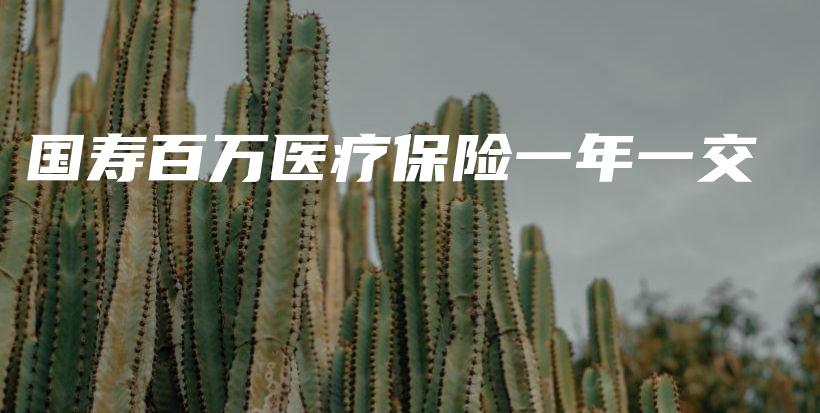 国寿百万医疗保险一年一交-保点通