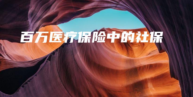 百万医疗保险中的社保-保点通