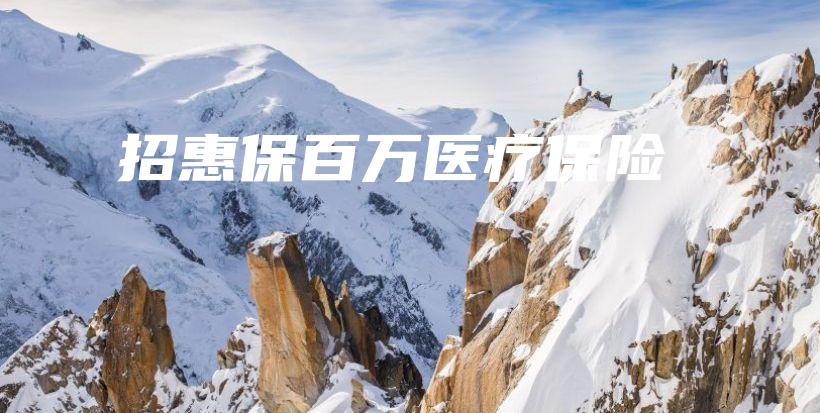 招惠保百万医疗保险-保点通