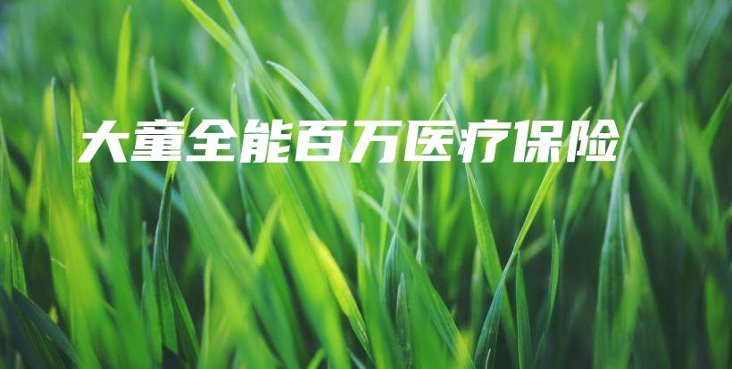 大童全能百万医疗保险-保点通