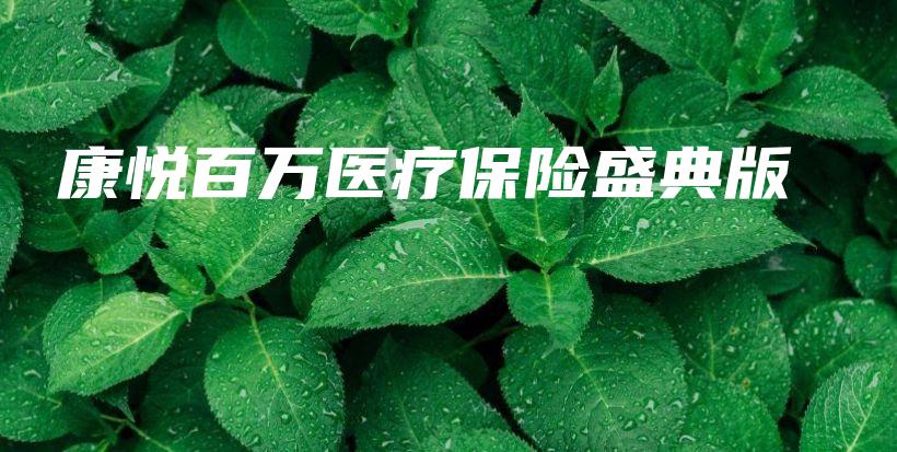 康悦百万医疗保险盛典版-保点通