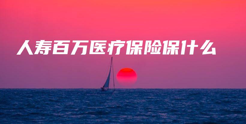 人寿百万医疗保险保什么-保点通