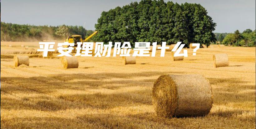 平安理财险是什么？-保点通