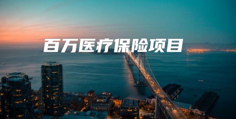 百万医疗保险项目-保点通