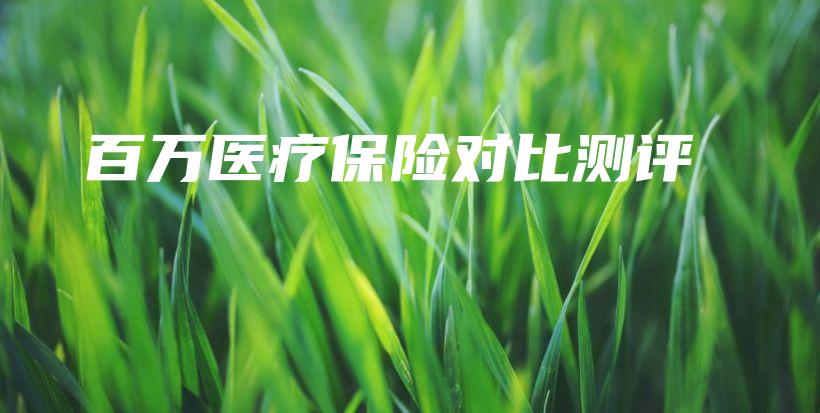 百万医疗保险对比测评-保点通