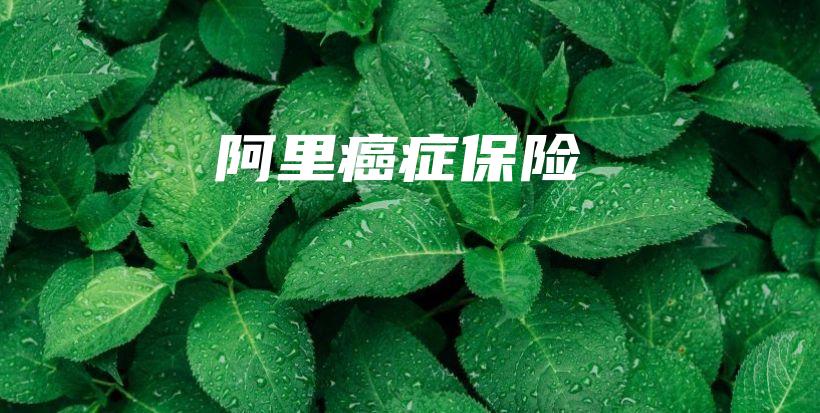阿里癌症保险-保点通