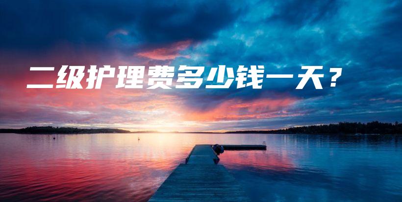 二级护理费多少钱一天？-保点通