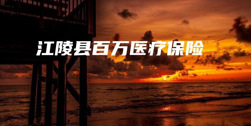 江陵县百万医疗保险-保点通