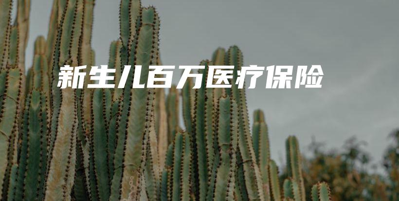 新生儿百万医疗保险-保点通