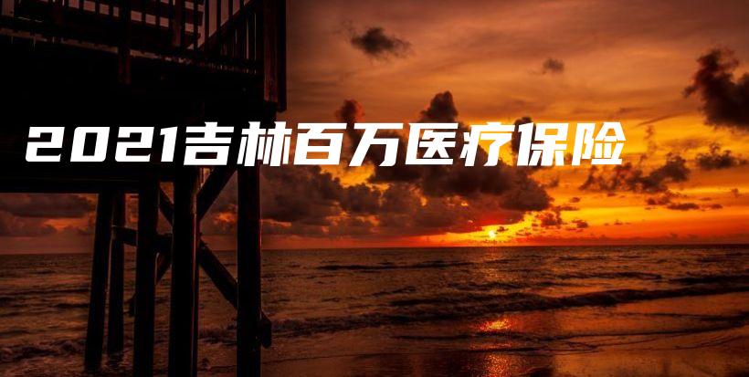 2021吉林百万医疗保险-保点通