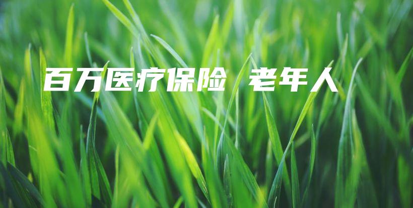 百万医疗保险 老年人-保点通