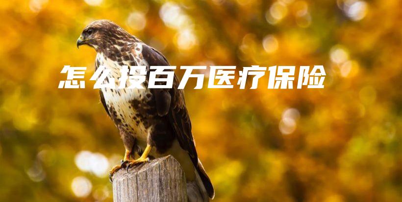 怎么投百万医疗保险-保点通