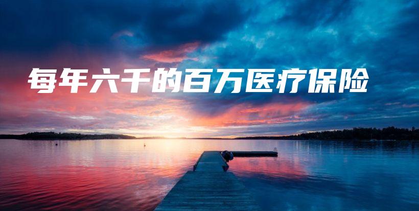 每年六千的百万医疗保险-保点通