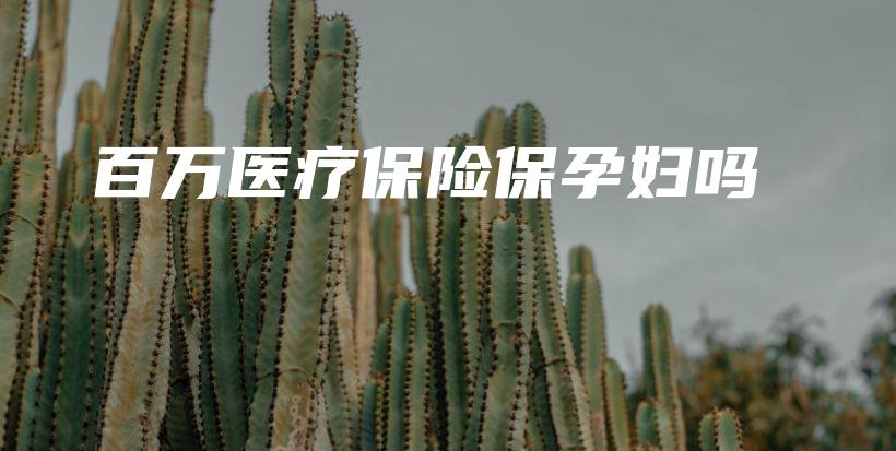 百万医疗保险保孕妇吗-保点通
