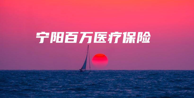 宁阳百万医疗保险-保点通