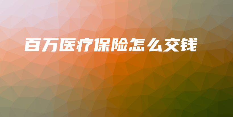 百万医疗保险怎么交钱-保点通