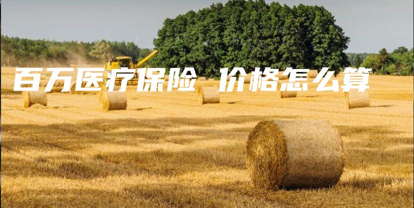 百万医疗保险 价格怎么算-保点通