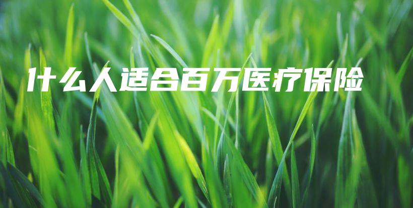 什么人适合百万医疗保险-保点通