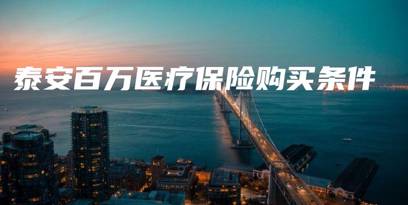 泰安百万医疗保险购买条件-保点通