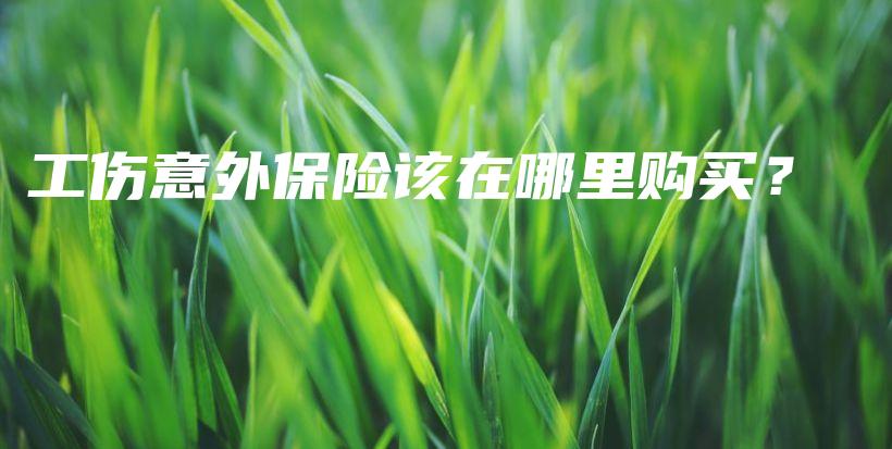 工伤意外保险该在哪里购买？-保点通