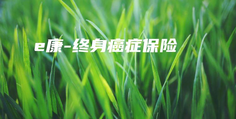 e康-终身癌症保险-保点通