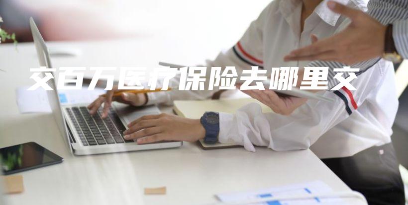 交百万医疗保险去哪里交-保点通