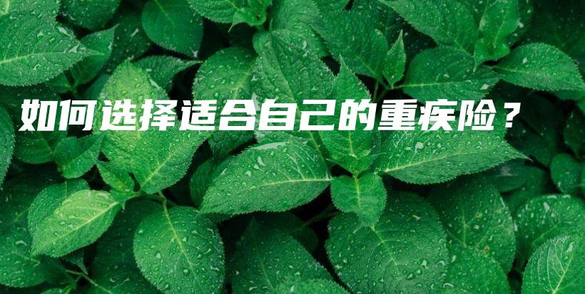 如何选择适合自己的重疾险？-保点通