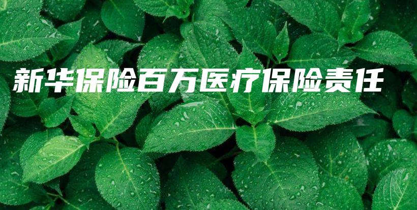新华保险百万医疗保险责任-保点通