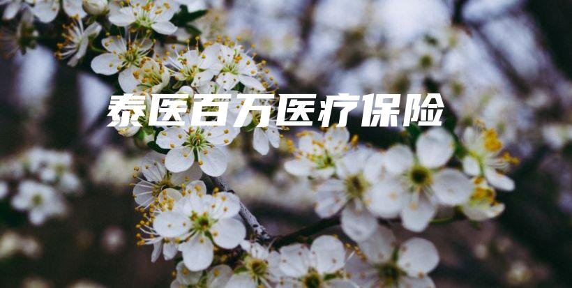 泰医百万医疗保险-保点通