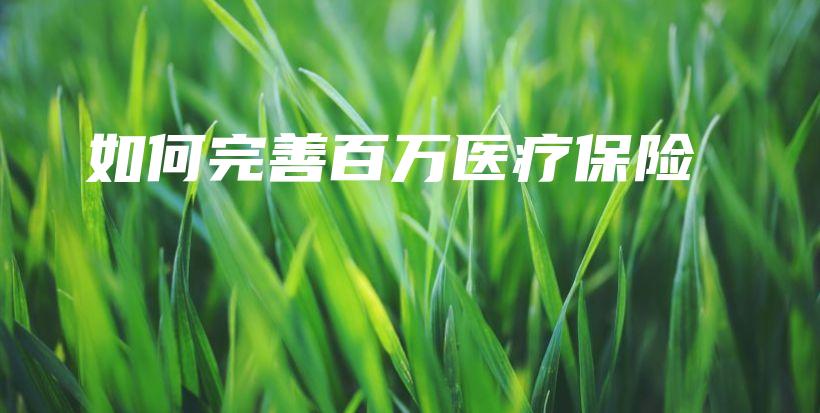 如何完善百万医疗保险-保点通