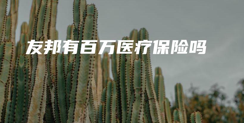 友邦有百万医疗保险吗-保点通