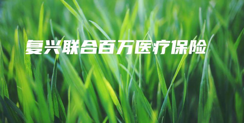 复兴联合百万医疗保险插图 复兴联合百万医疗保险插图
