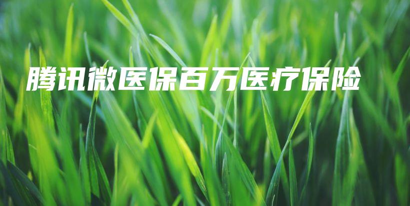 腾讯微医保百万医疗保险-保点通