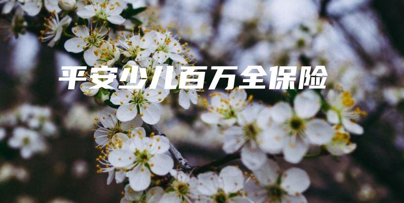 平安少儿百万全保险-保点通