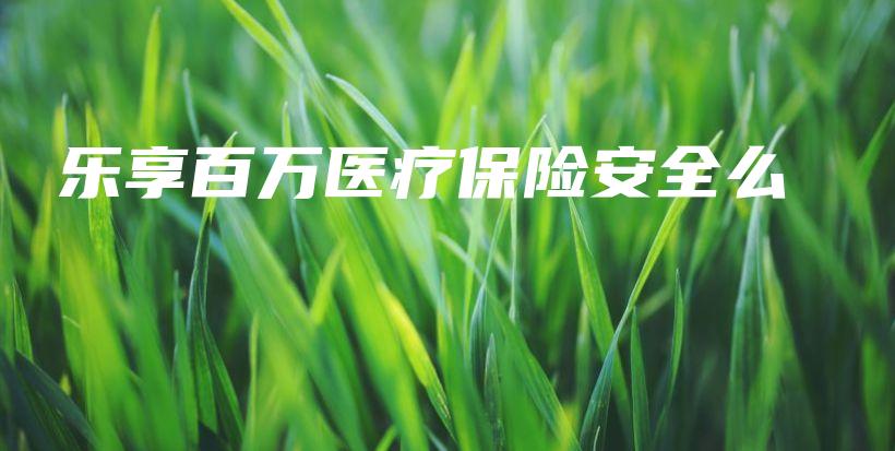 乐享百万医疗保险安全么-保点通
