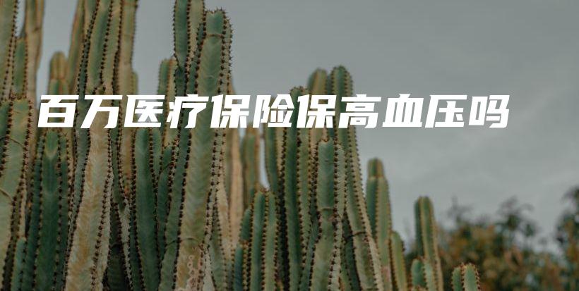 百万医疗保险保高血压吗-保点通